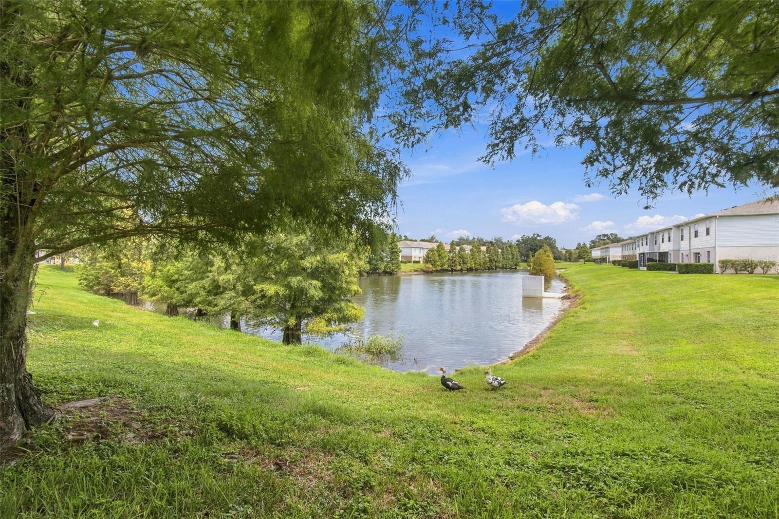 4709 ASHBURN POND WAY