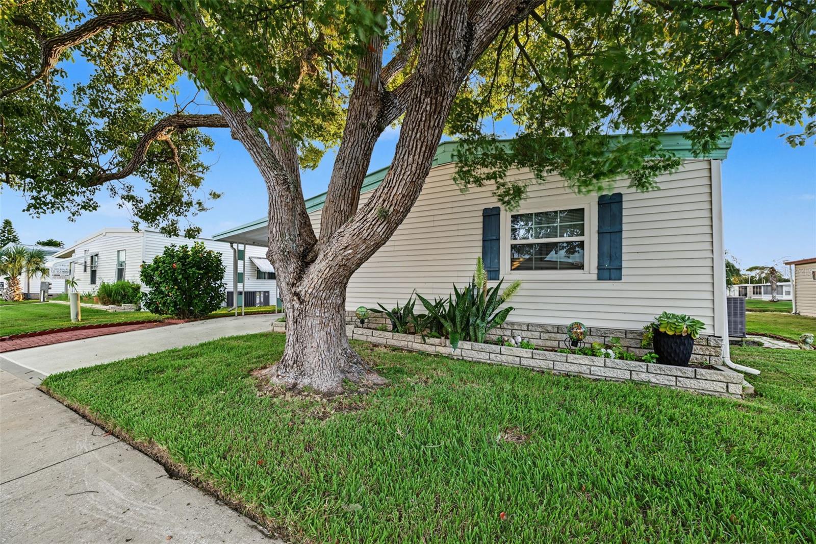 3207 BREWSTER DR