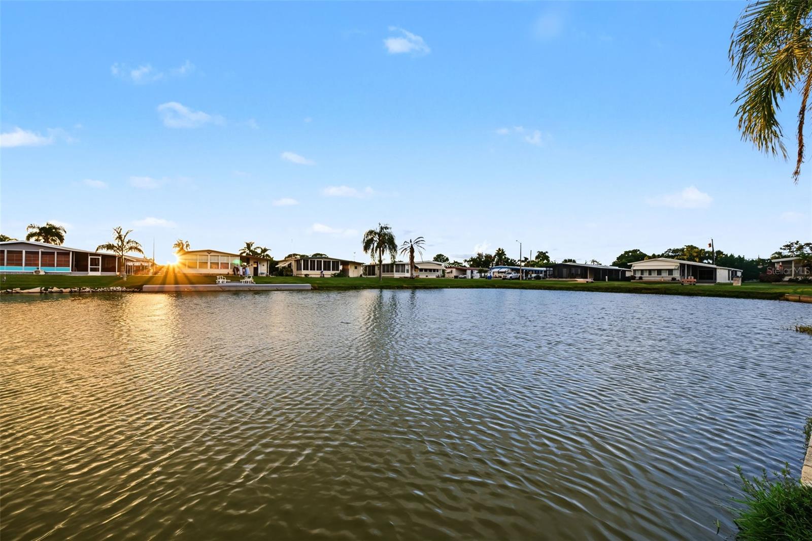 3207 BREWSTER DR