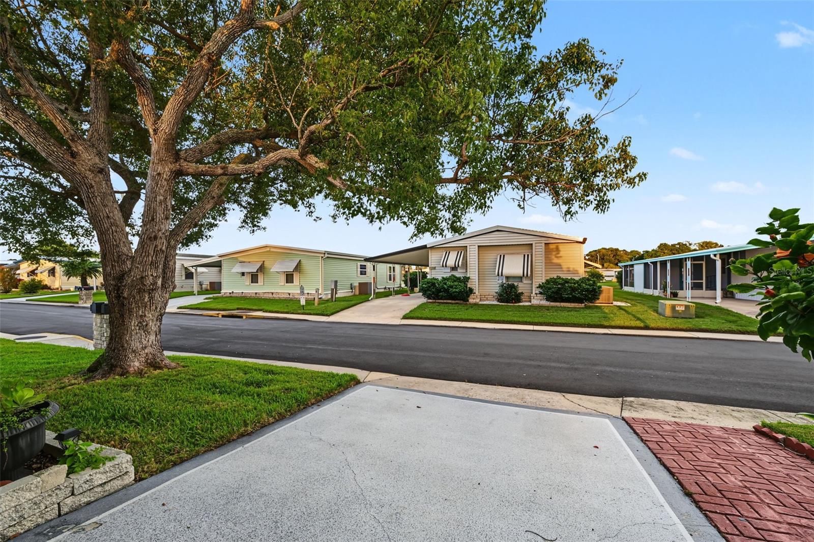 3207 BREWSTER DR