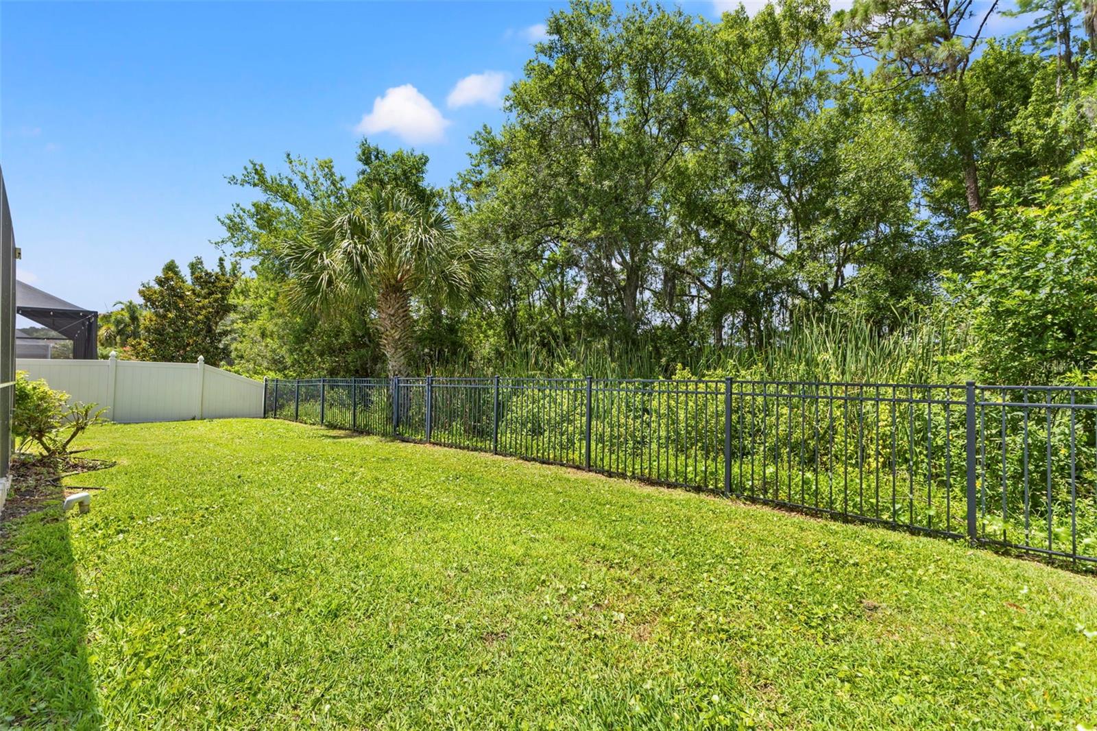 11621 RENAISSANCE VIEW CT