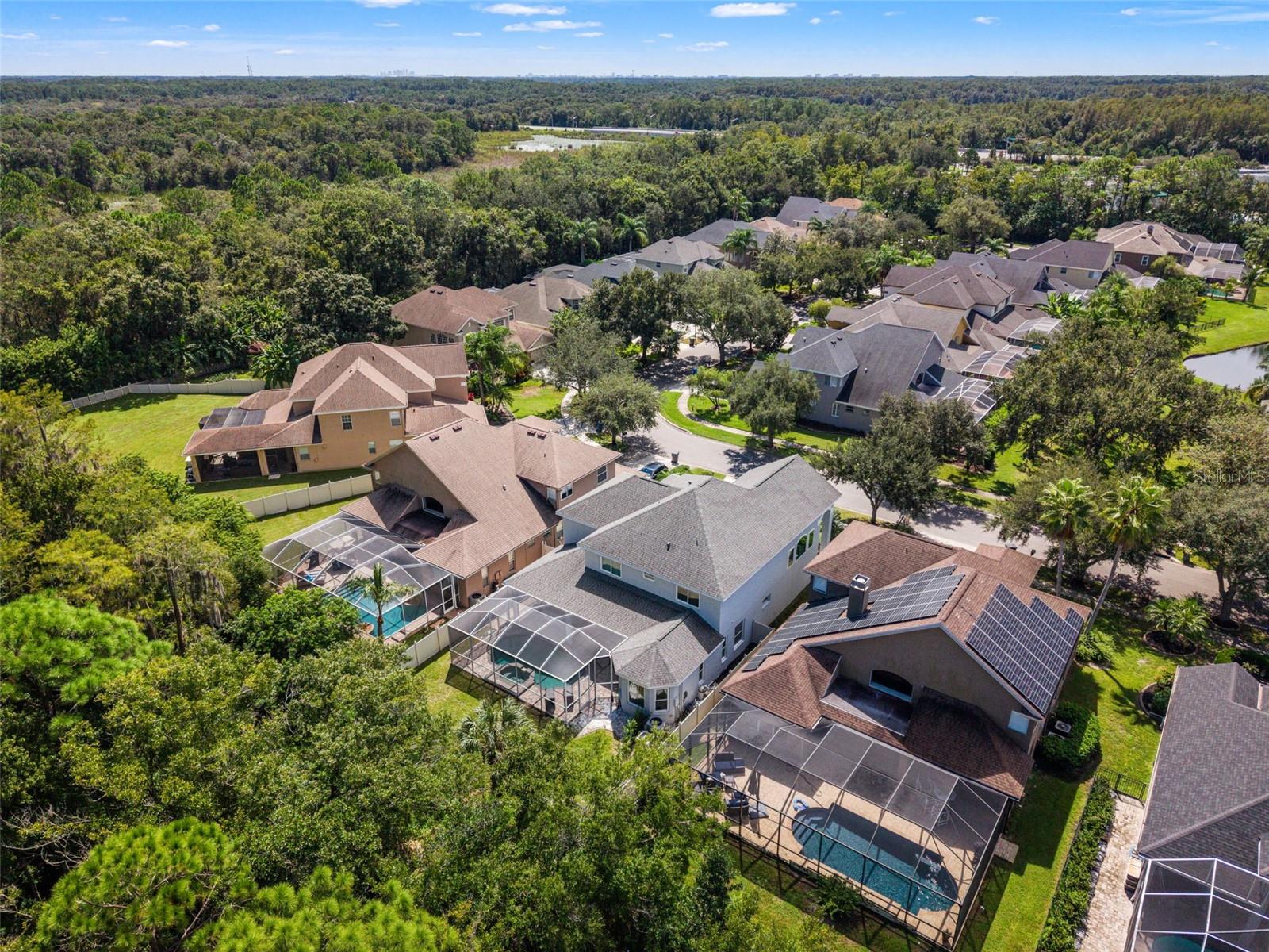 11621 RENAISSANCE VIEW CT