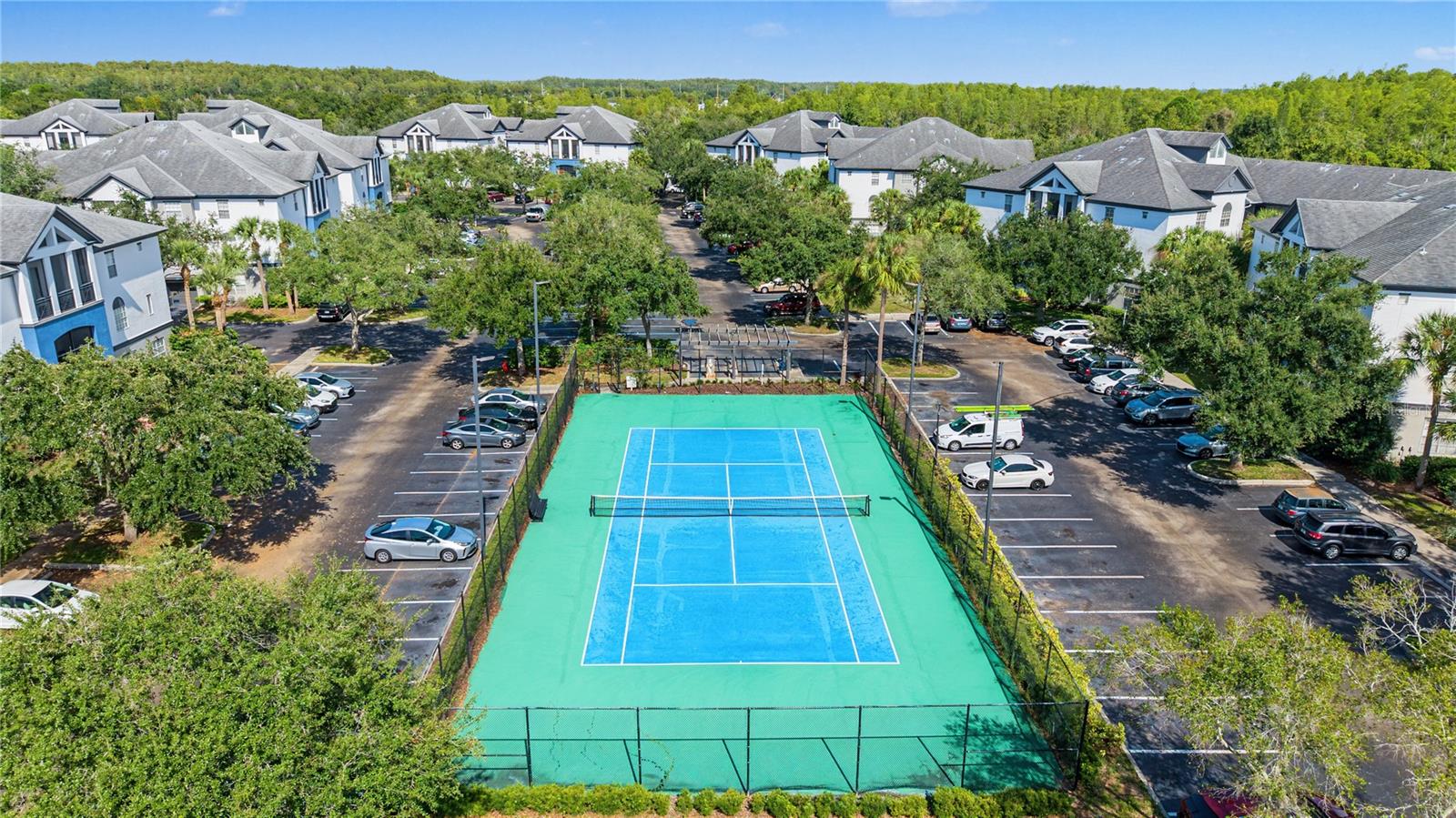 4006 CARROLLWOOD PALM CT