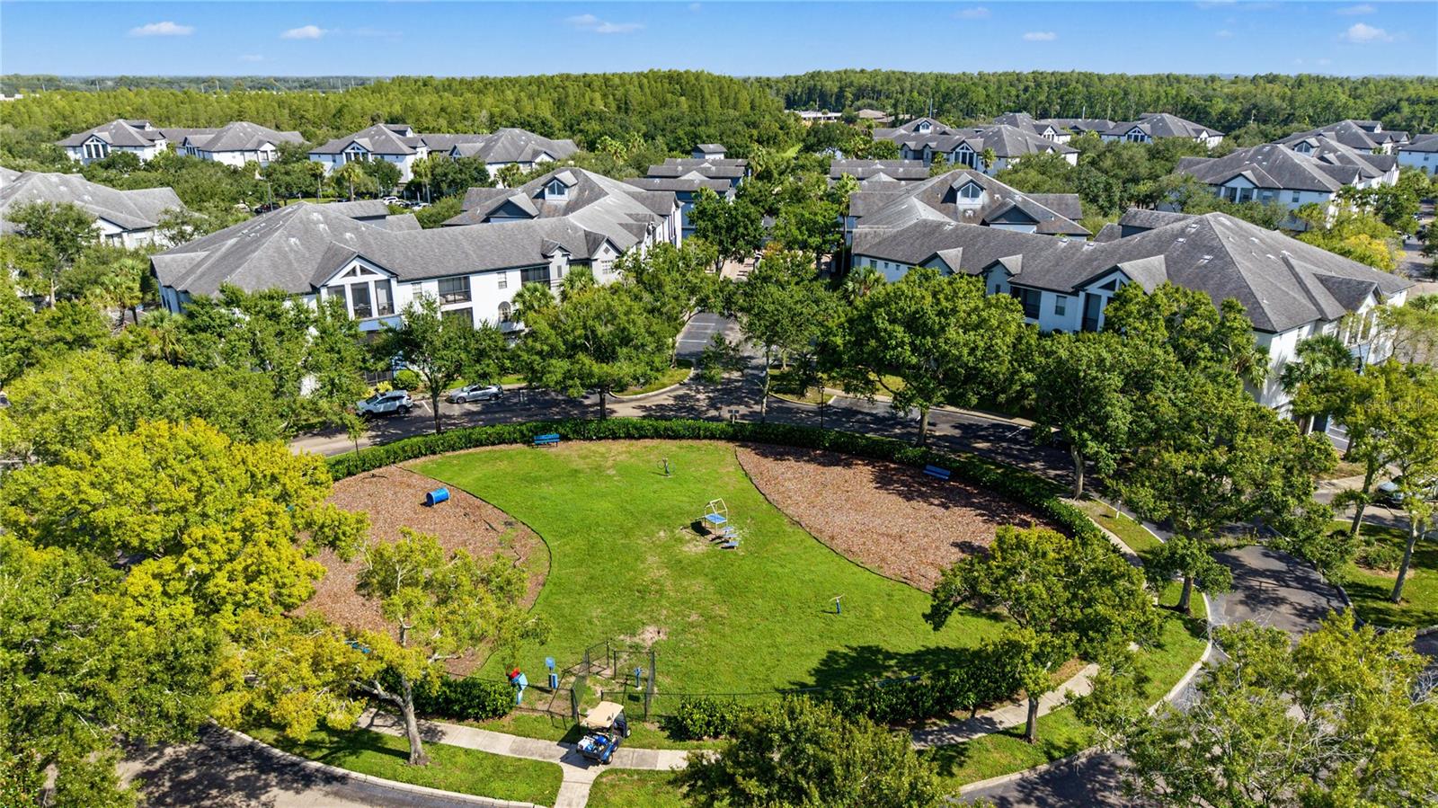 4006 CARROLLWOOD PALM CT