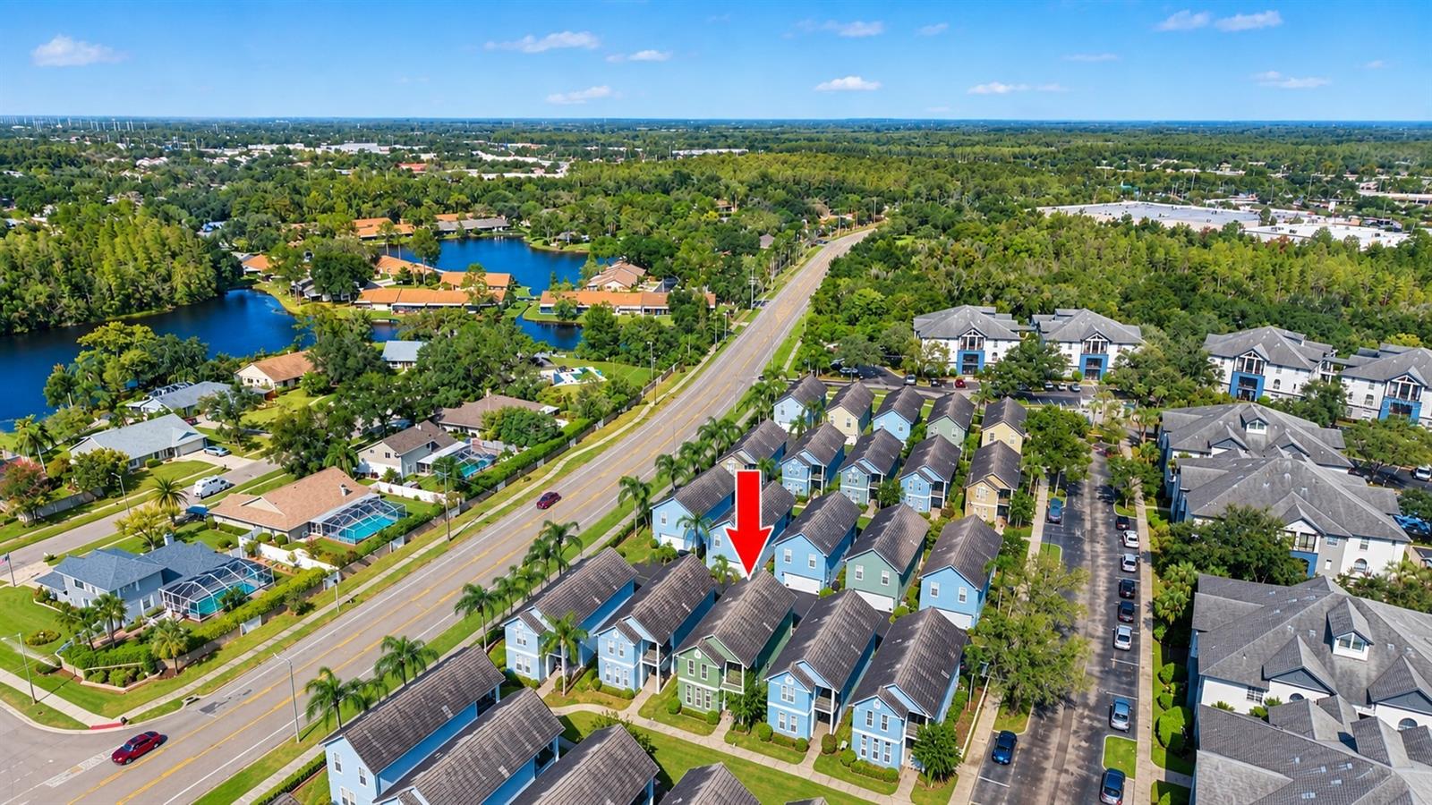 4006 CARROLLWOOD PALM CT