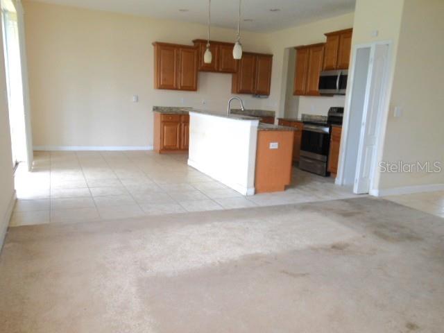 10524 SHADY PRESERVE DR