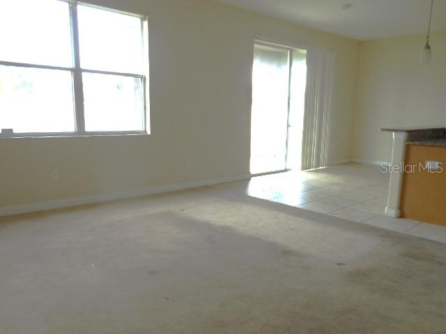 10524 SHADY PRESERVE DR
