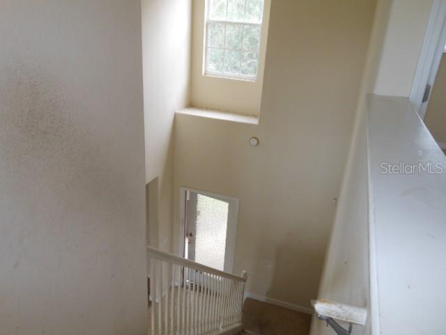 10524 SHADY PRESERVE DR
