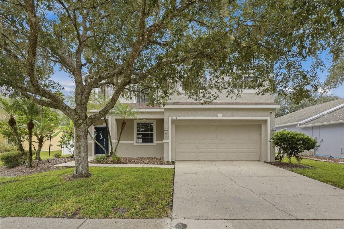 19149 Dove Creek Dr, Tampa
