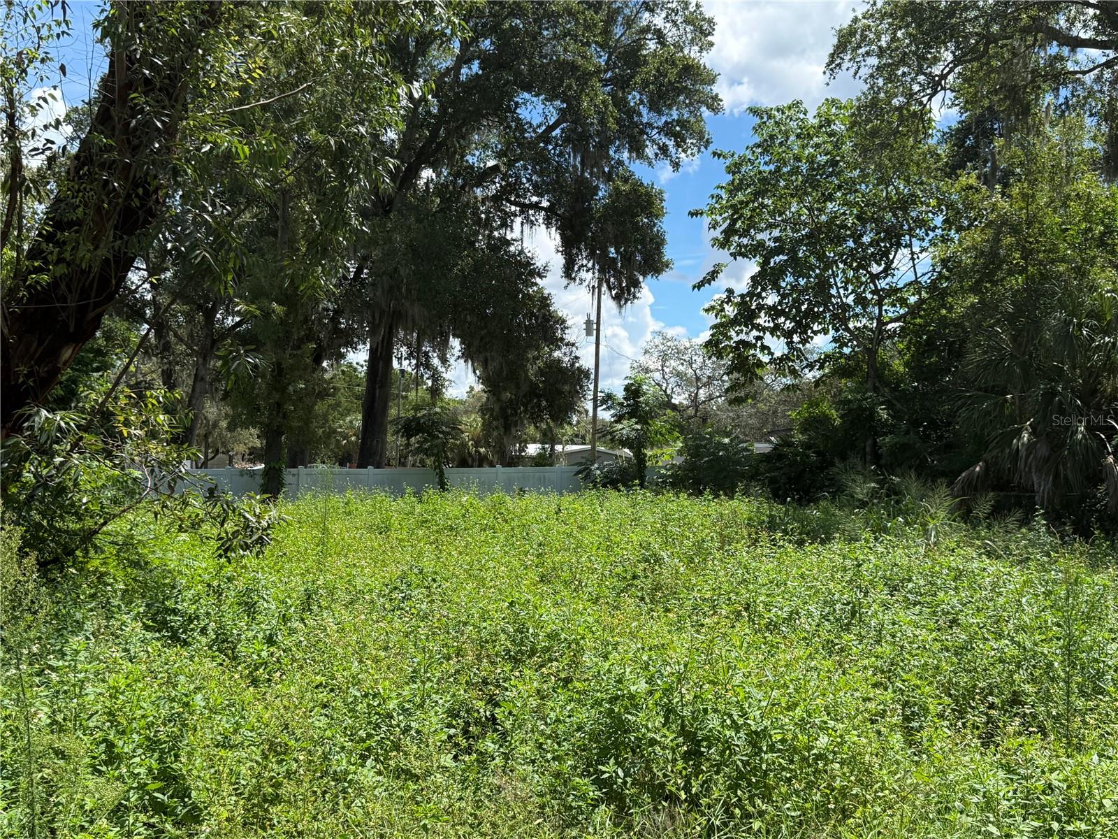 15308 BANJO DR