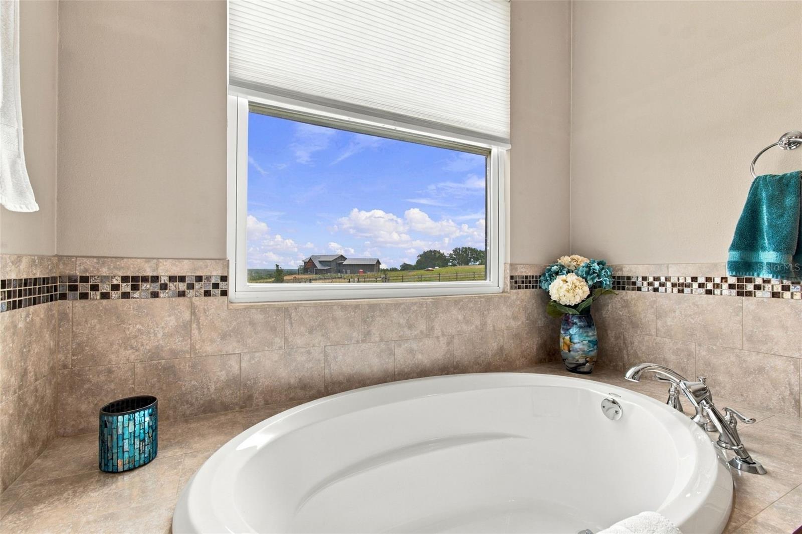 16705 HILLTOP HORIZONS PL