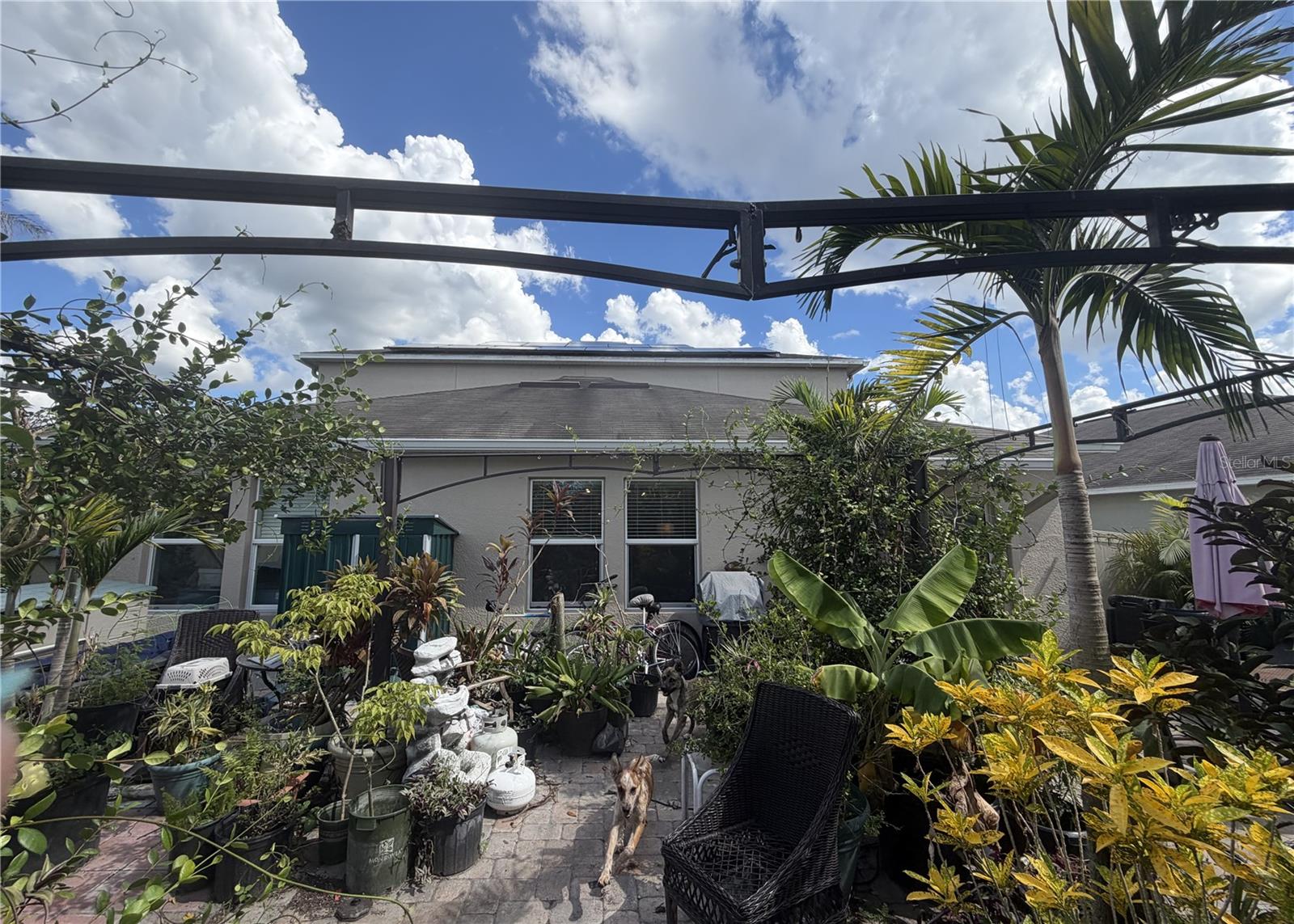 17103 WHITE MANGROVE DR