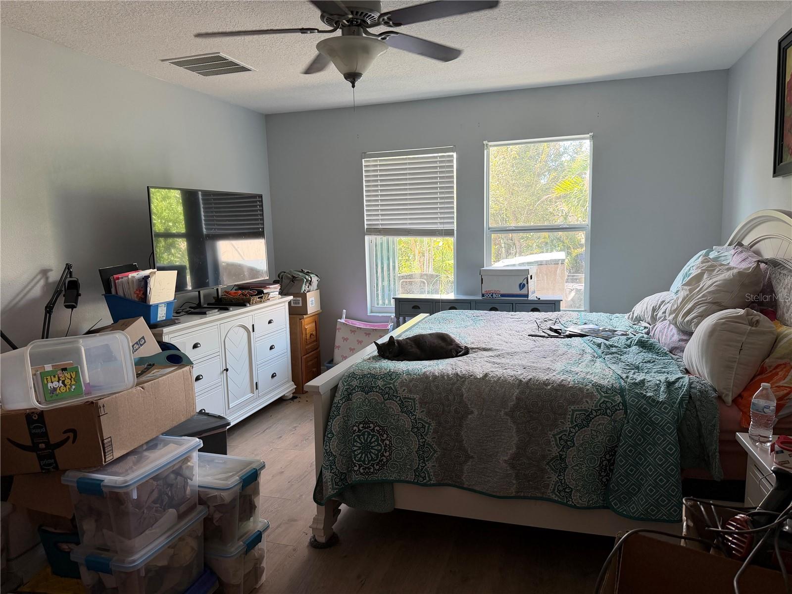 17103 WHITE MANGROVE DR
