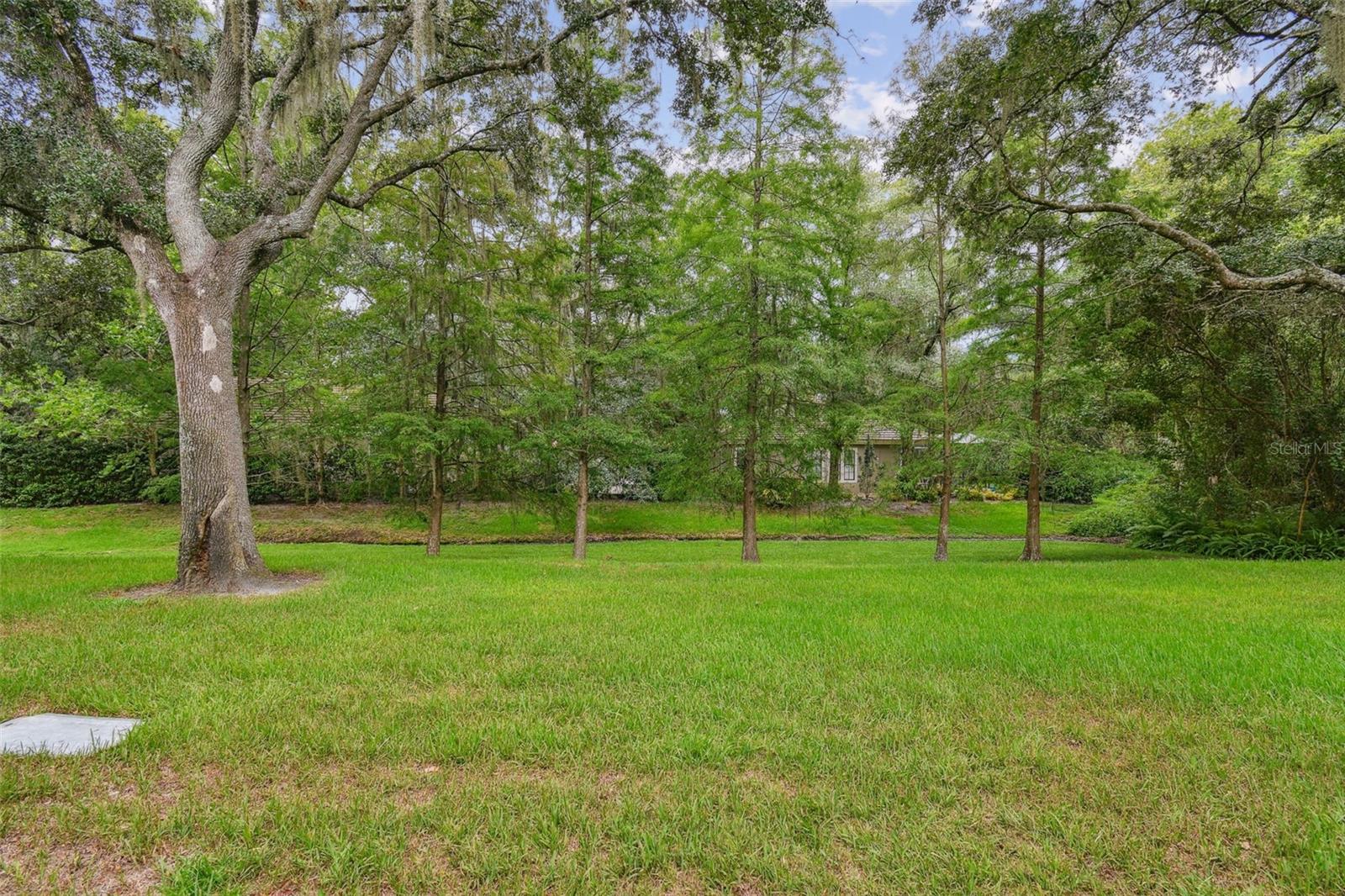 5100 BURCHETTE RD #1804