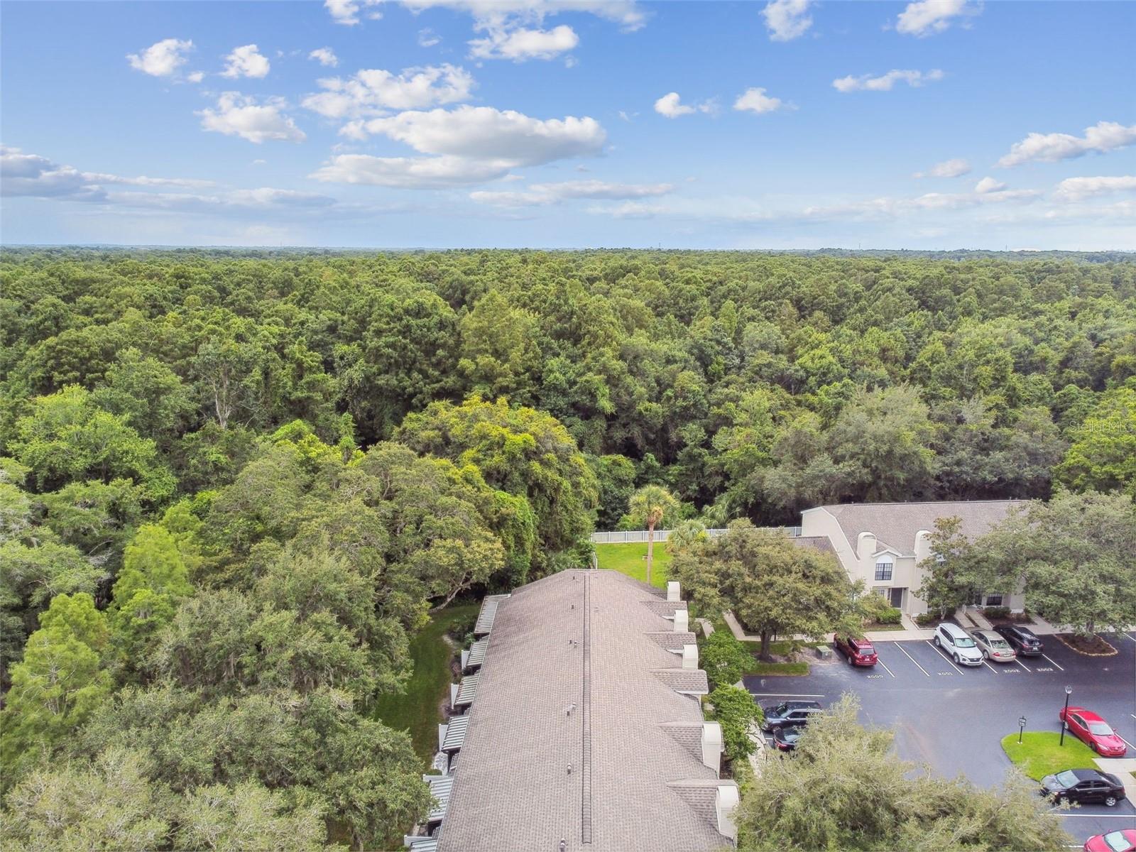5100 BURCHETTE RD #1804