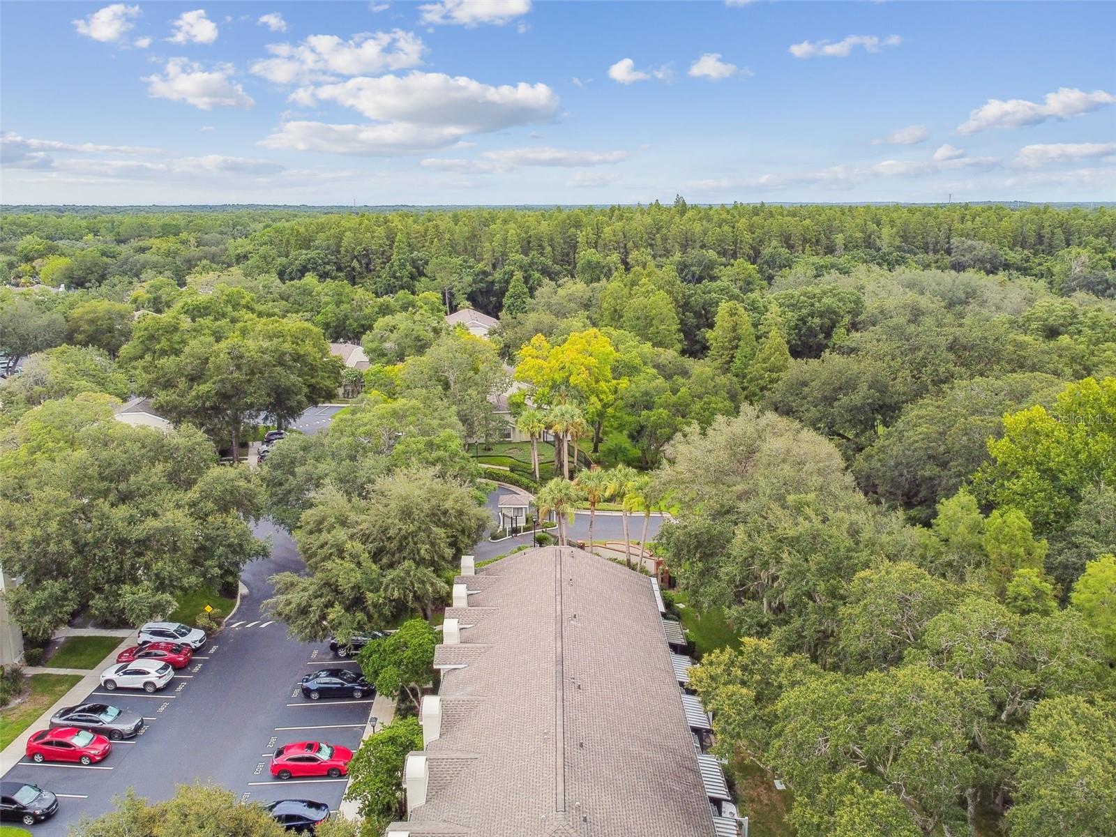 5100 BURCHETTE RD #1804