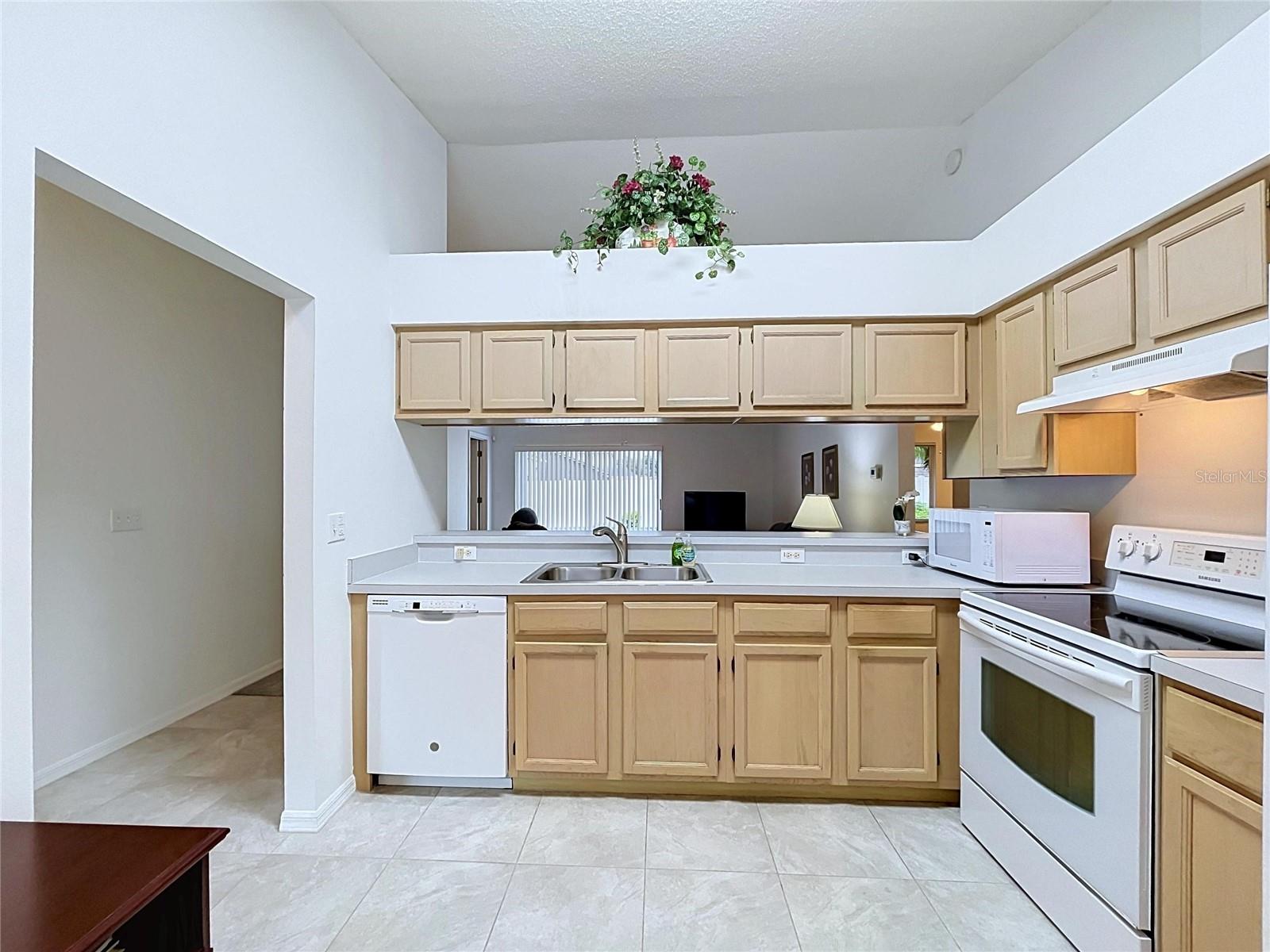 27408 CORAL SPRINGS DR