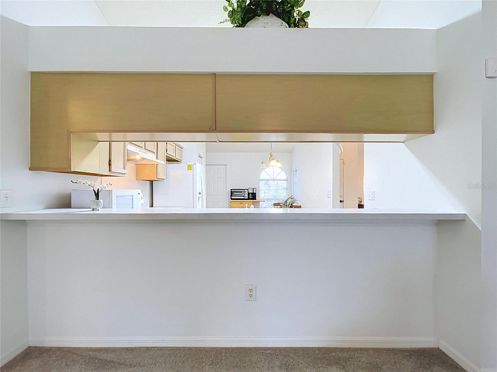 27408 CORAL SPRINGS DR