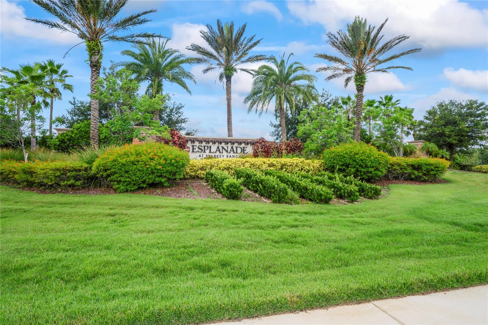 10813 CALLUNA DR