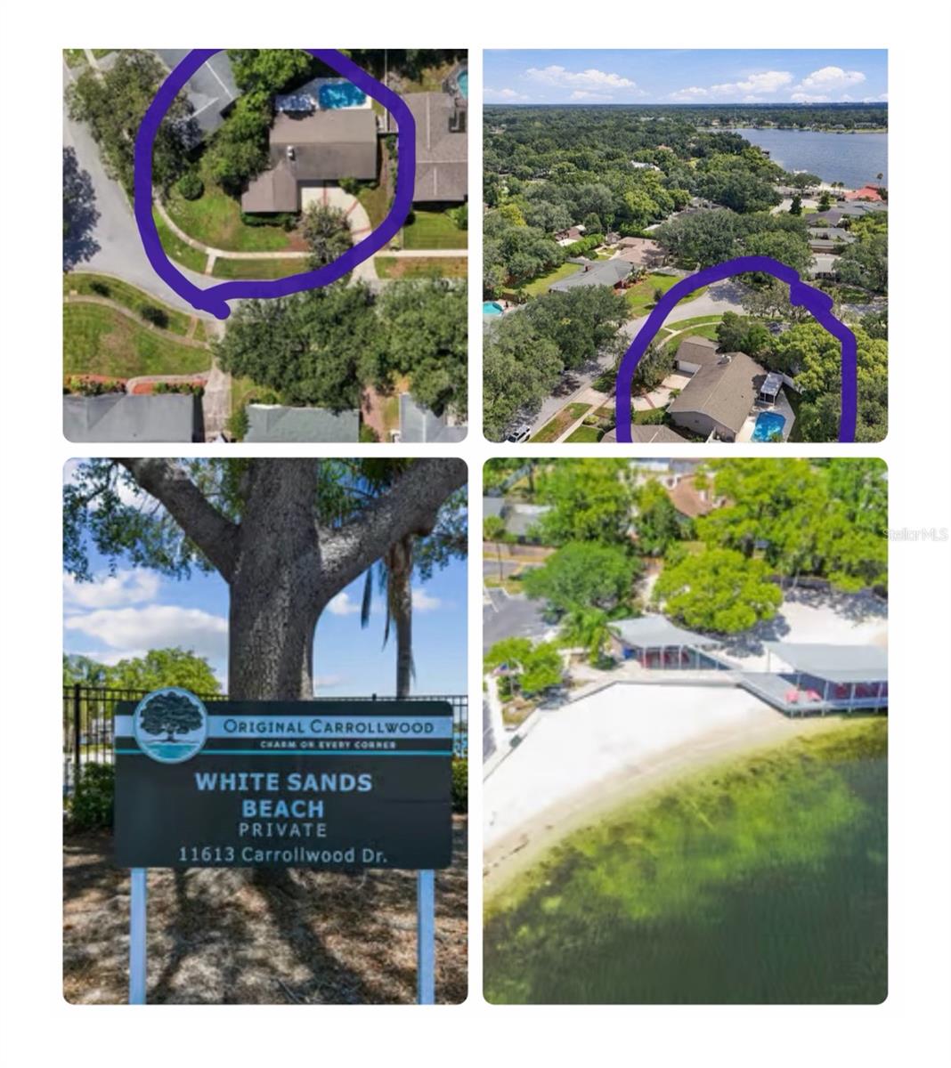 11626 CARROLLWOOD DR