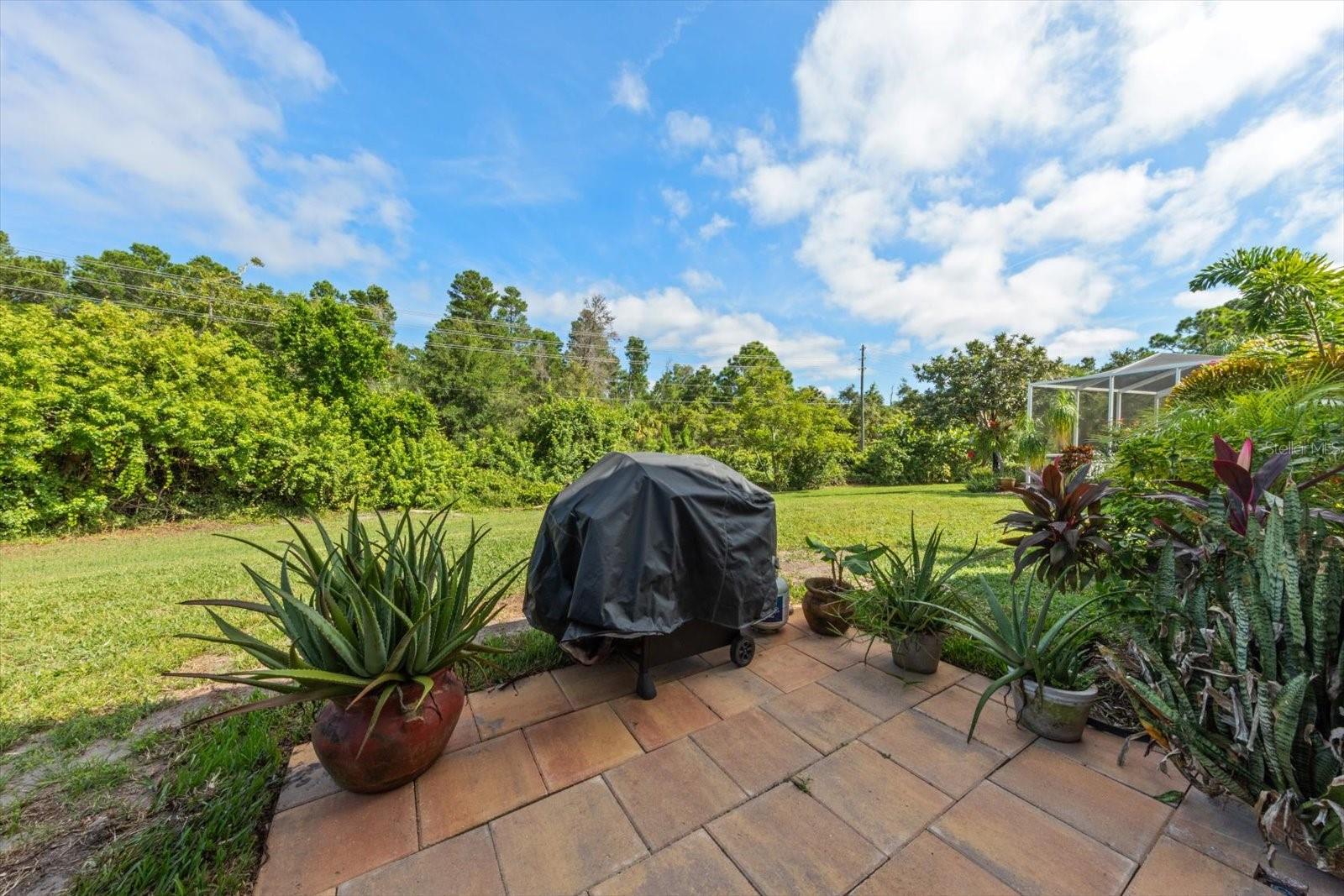 2939 WOOD POINTE DR