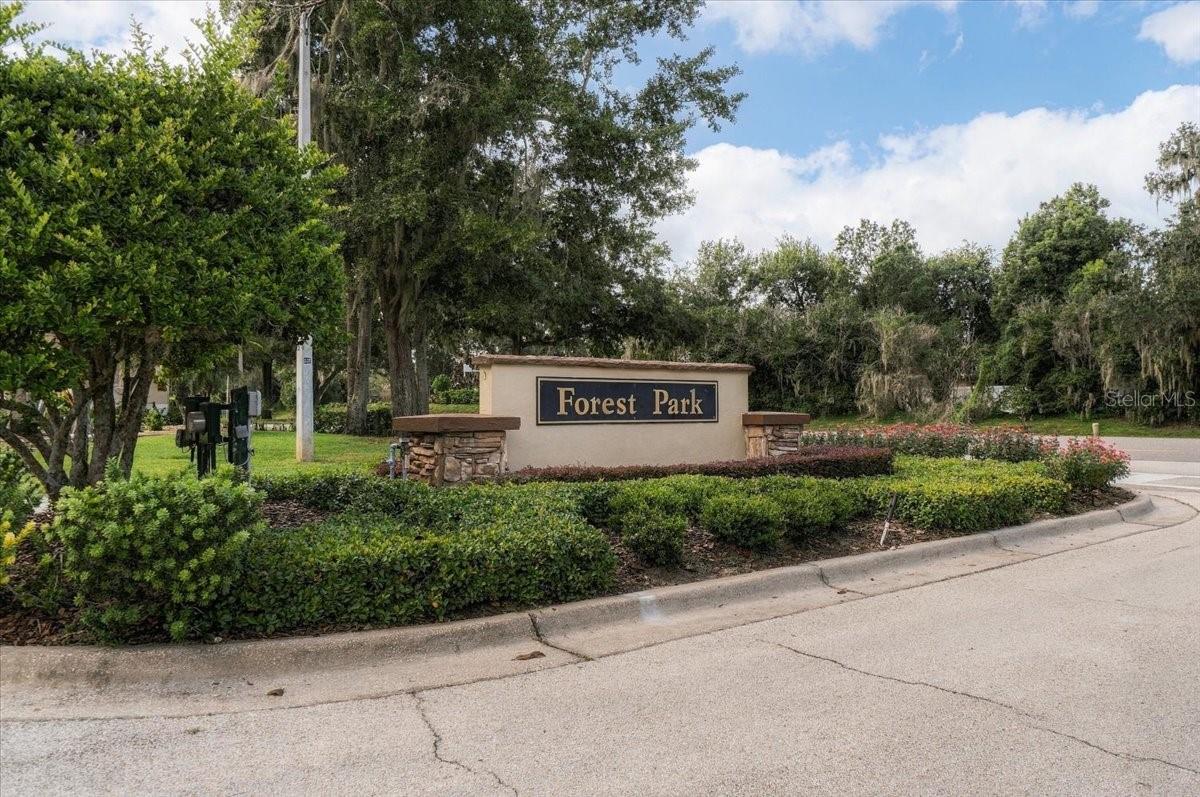 2929 FOREST HAMMOCK DR