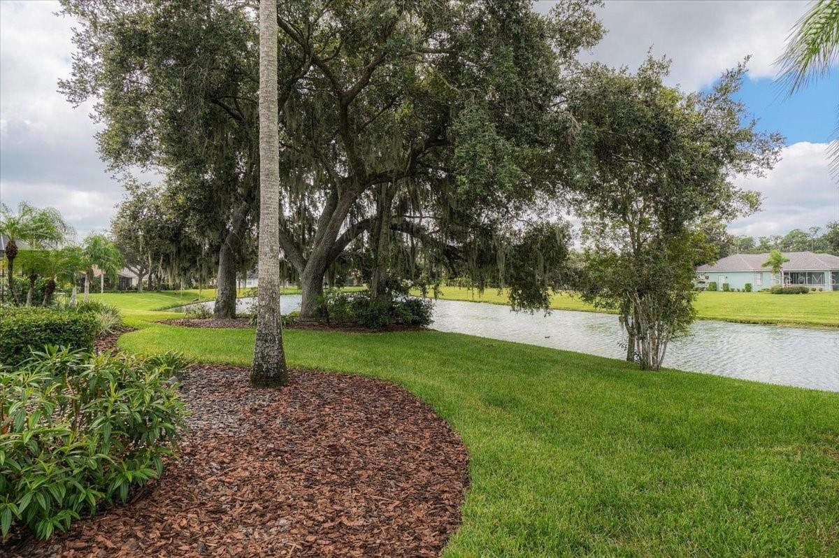2929 FOREST HAMMOCK DR