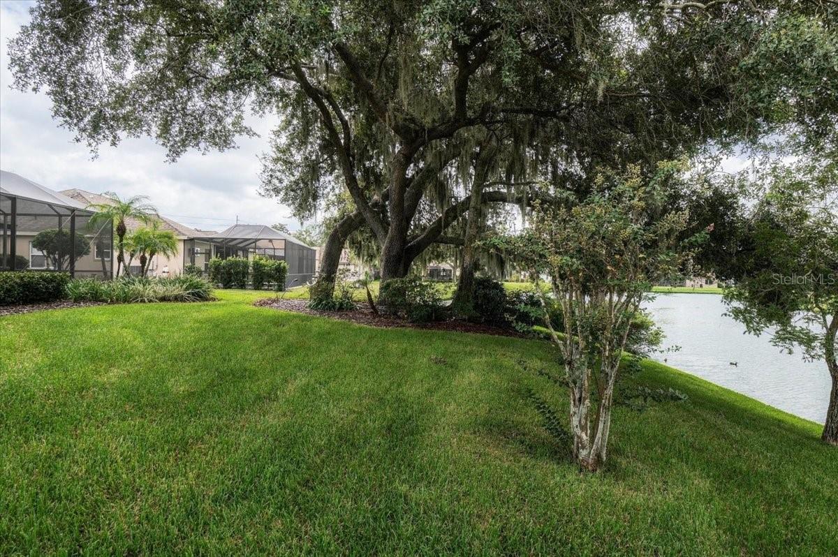 2929 FOREST HAMMOCK DR