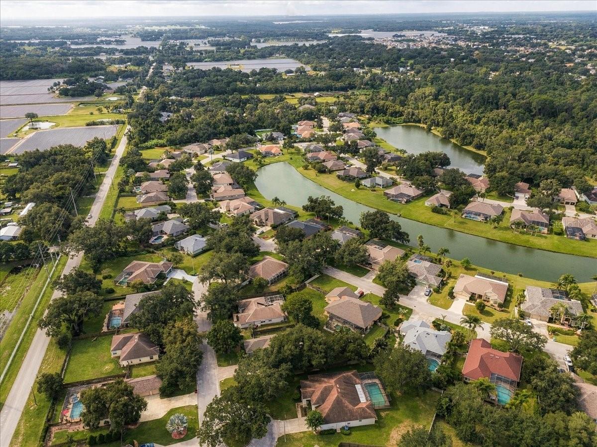 2929 FOREST HAMMOCK DR