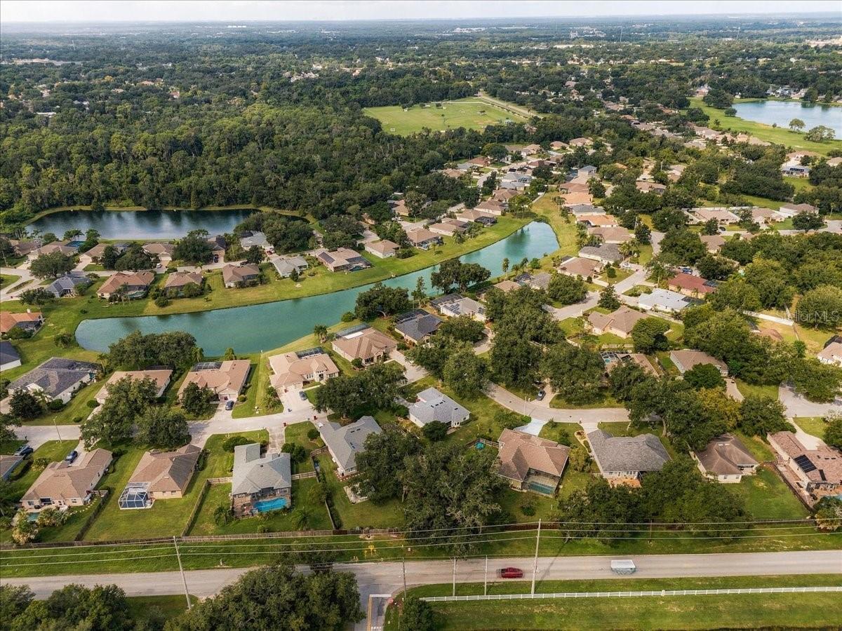2929 FOREST HAMMOCK DR