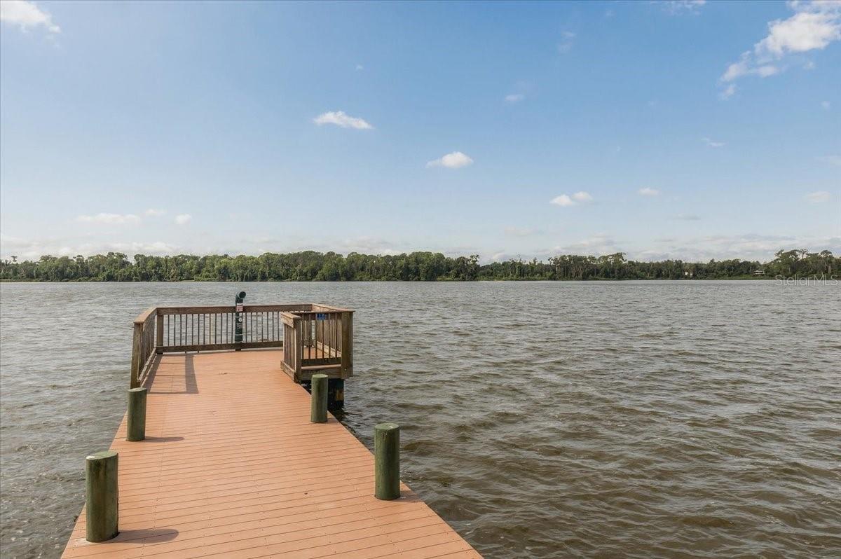 2929 FOREST HAMMOCK DR