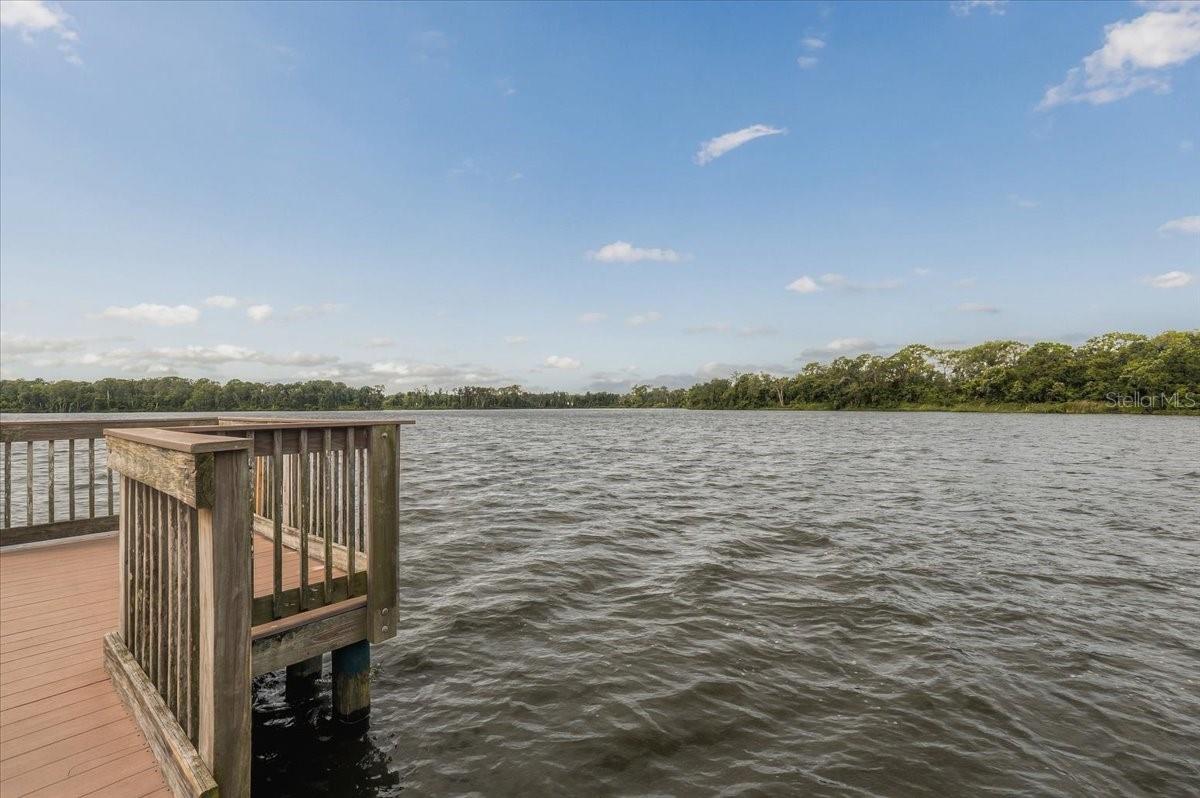 2929 FOREST HAMMOCK DR