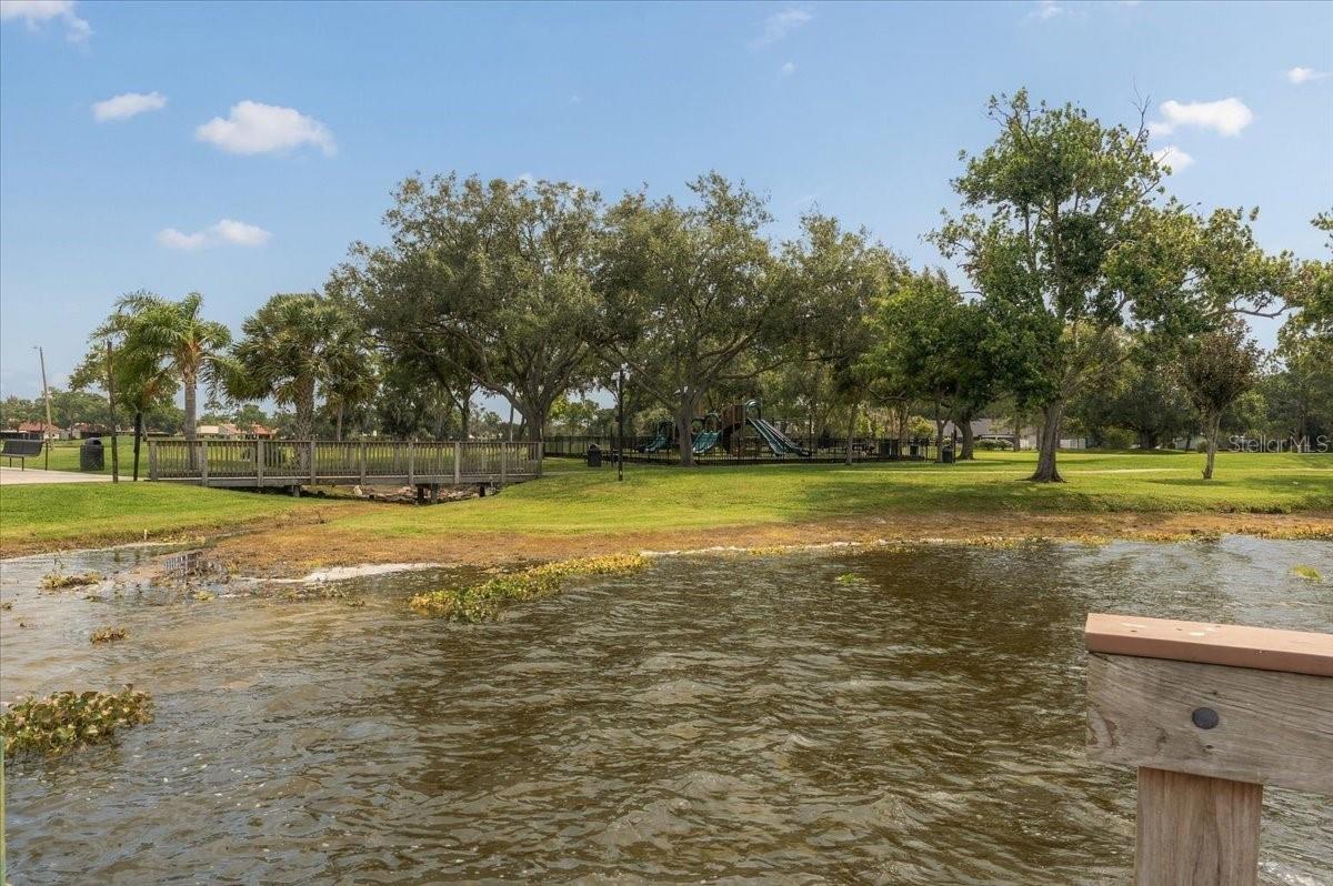 2929 FOREST HAMMOCK DR