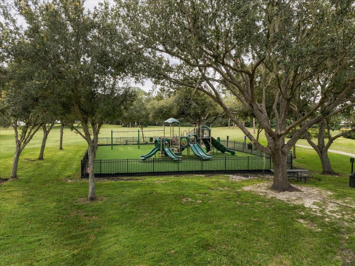 2929 FOREST HAMMOCK DR