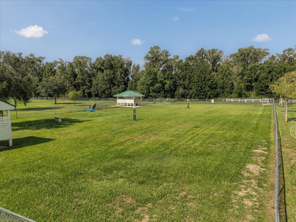 2929 FOREST HAMMOCK DR