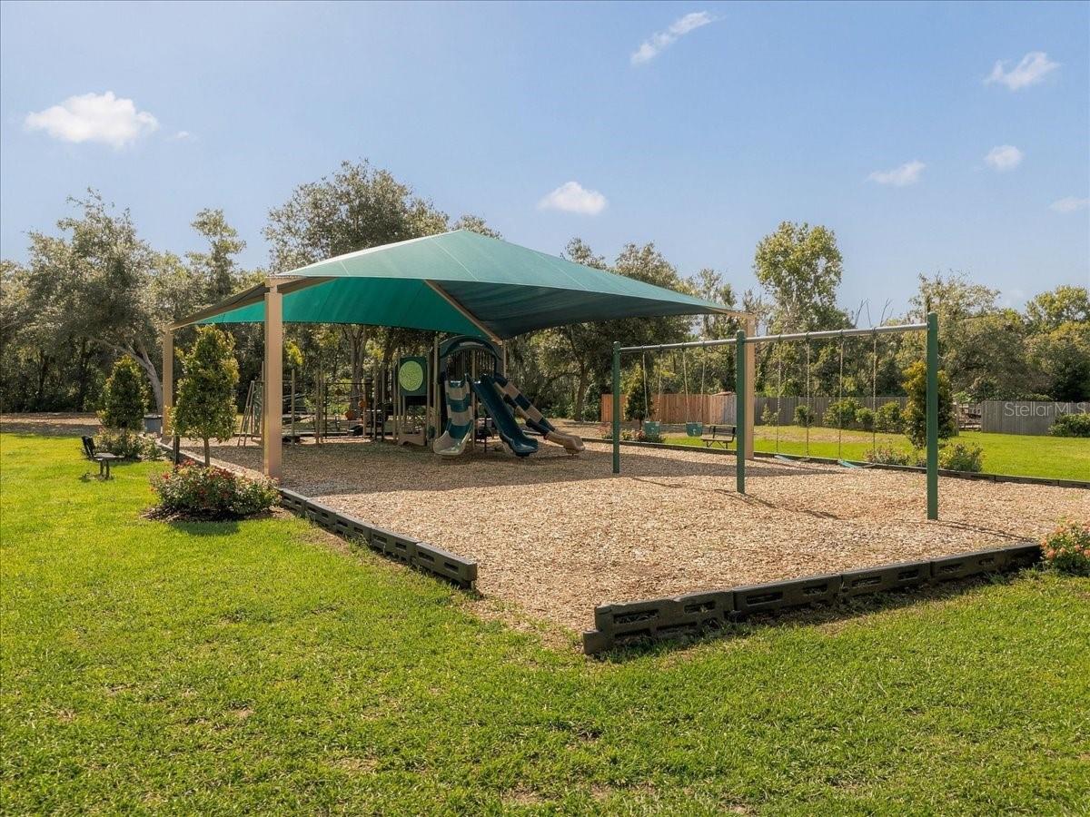 2929 FOREST HAMMOCK DR