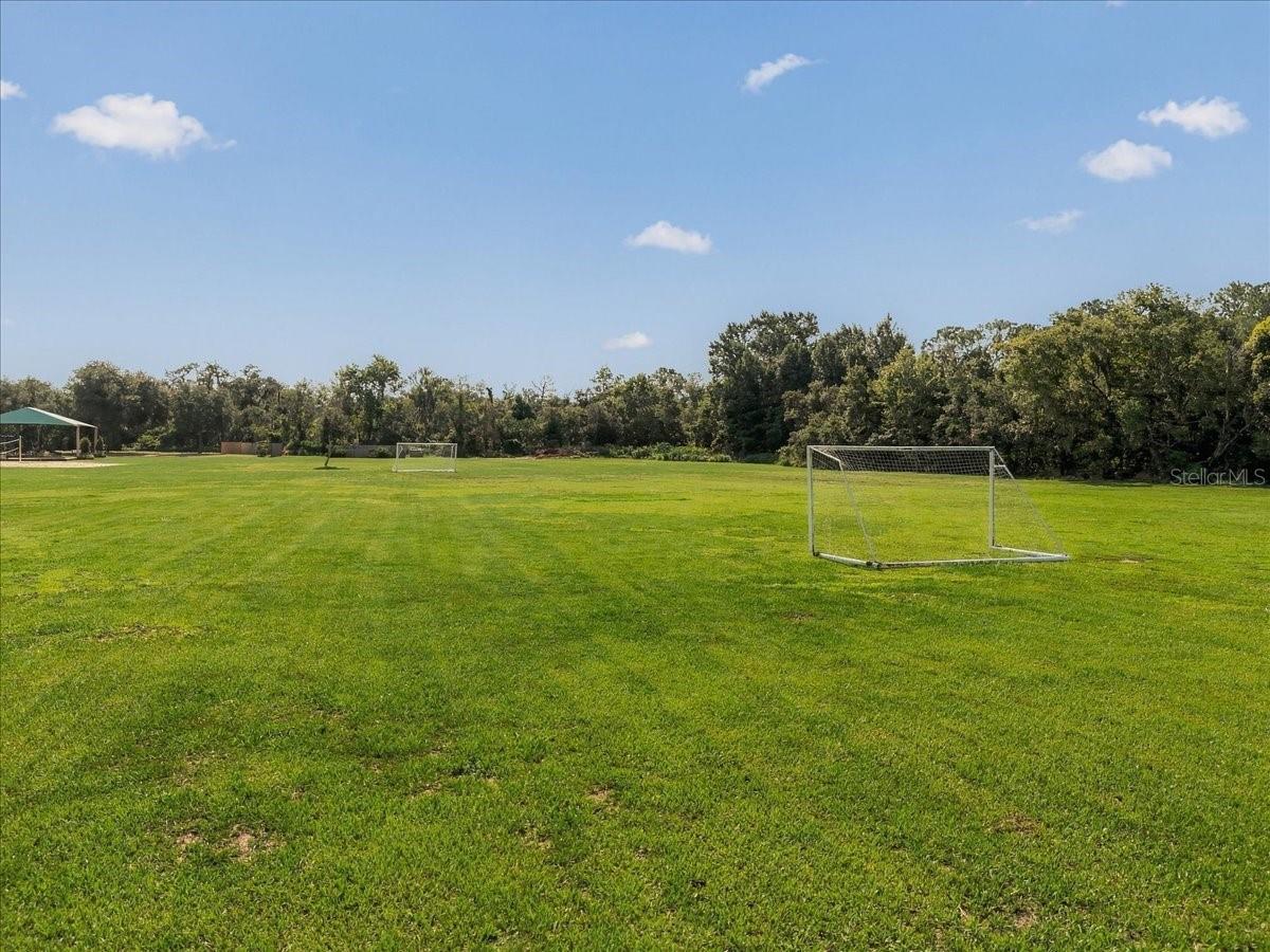 2929 FOREST HAMMOCK DR