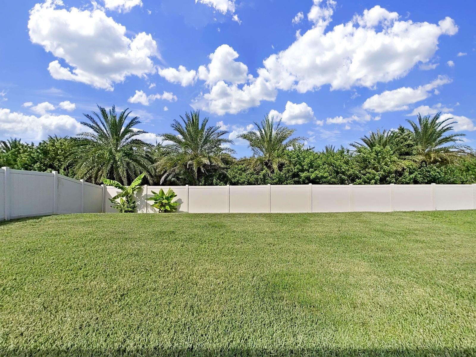 5037 WHITE CHICORY DR