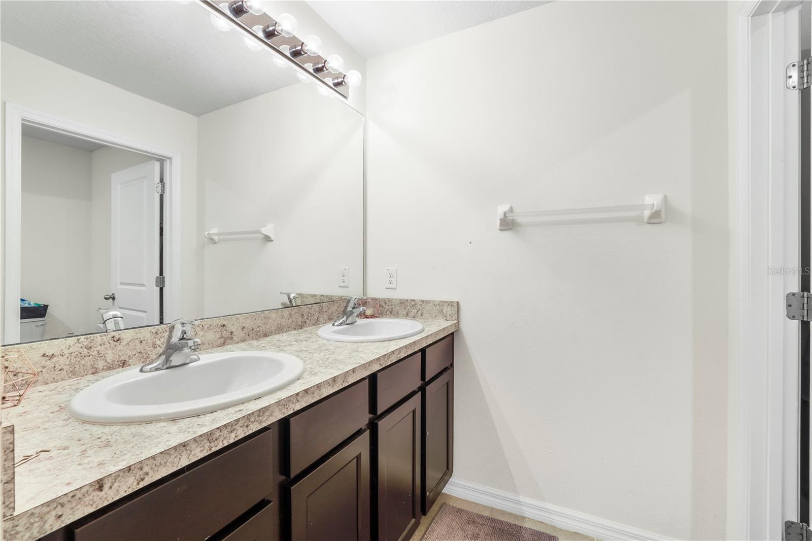 10317 GEESE TRAIL CIR