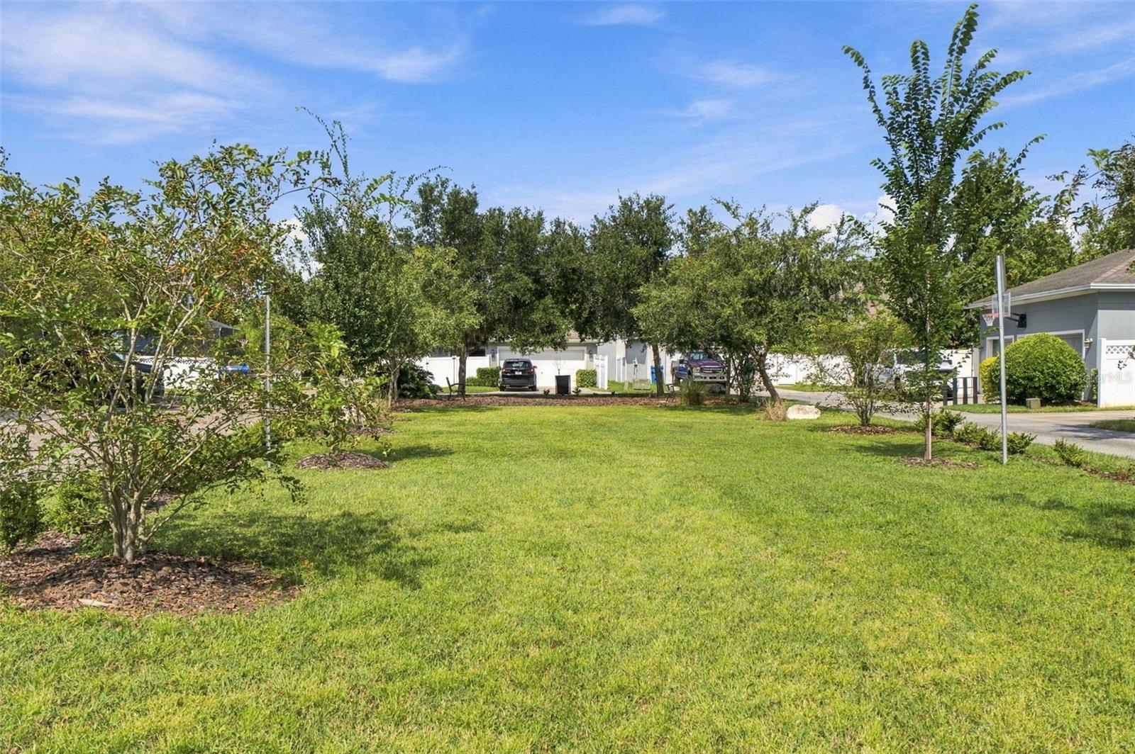 10643 MARSHA DR