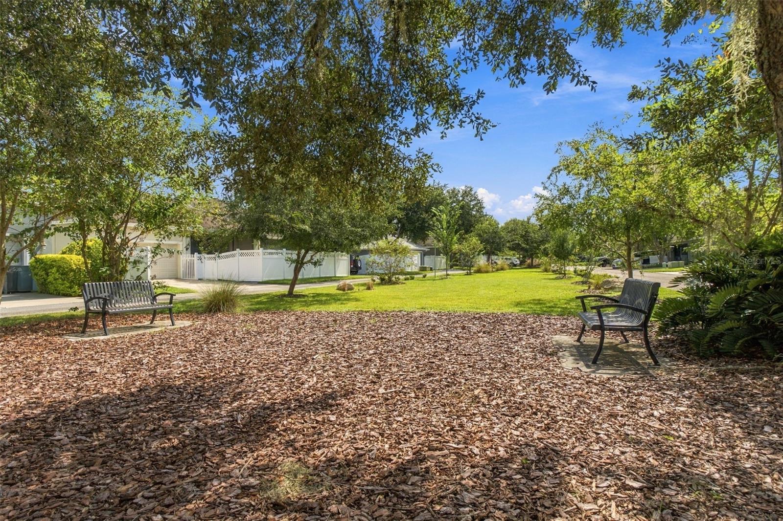 10643 MARSHA DR