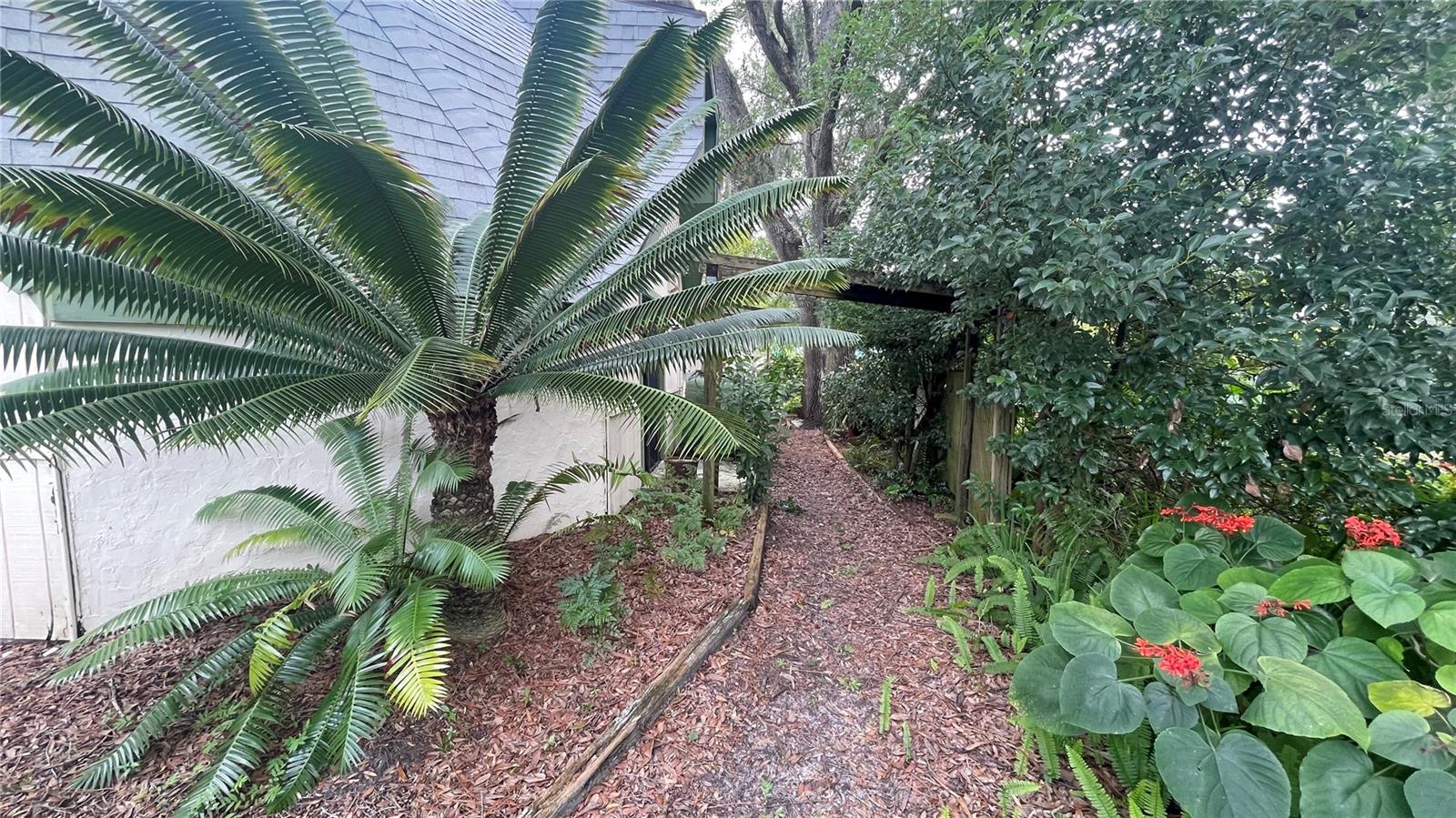 21004 NEGRIL CT