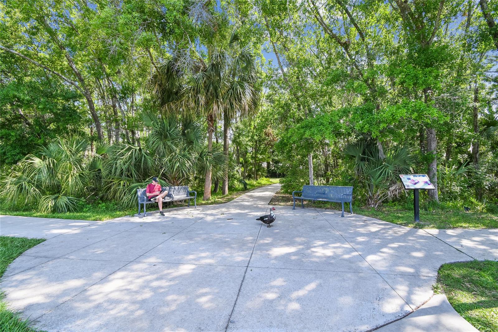 14601 ANCHORET RD