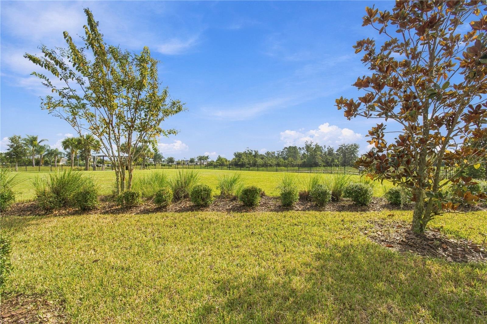 31564 WOODLAND RACE LOOP
