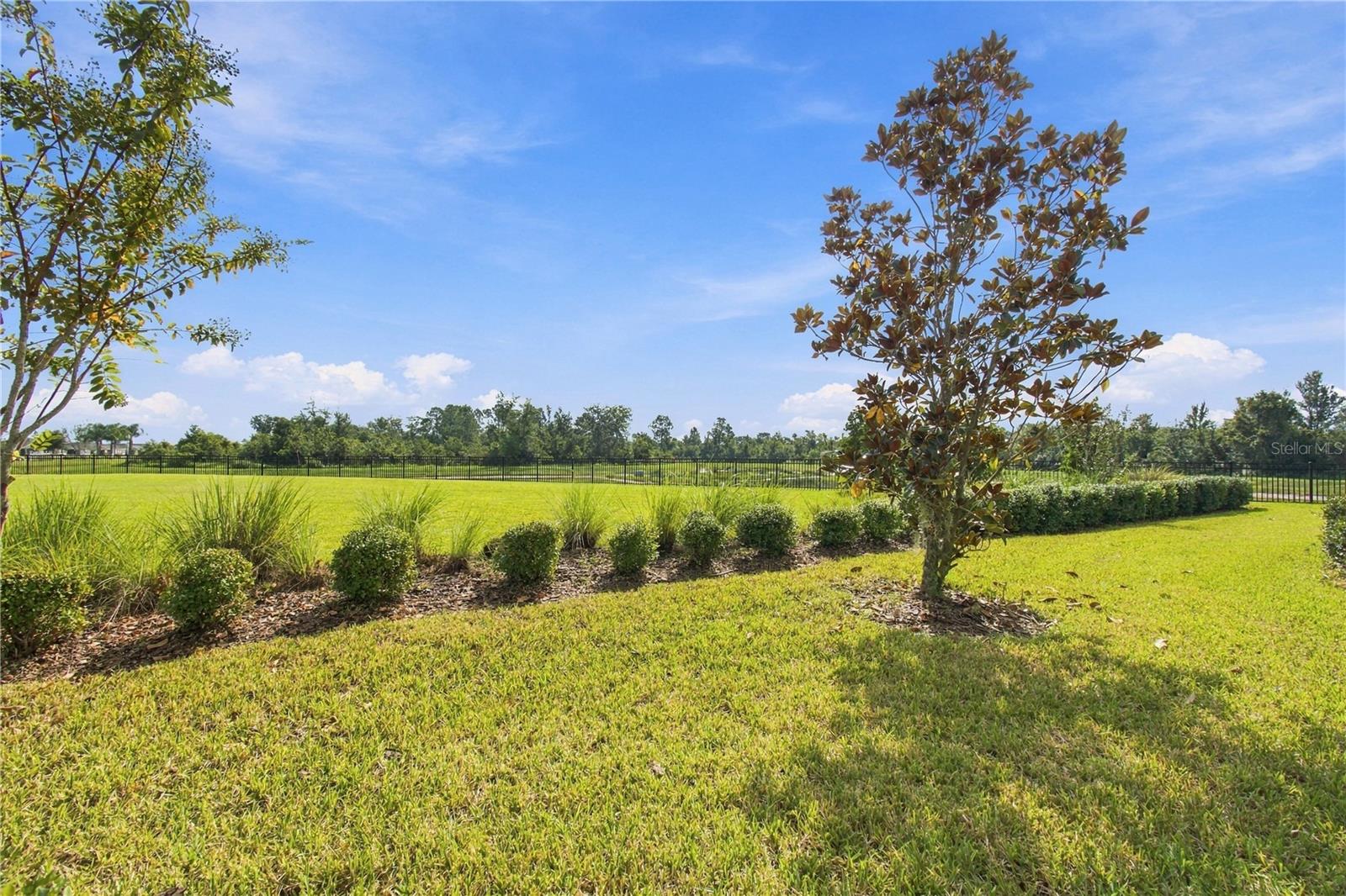 31564 WOODLAND RACE LOOP