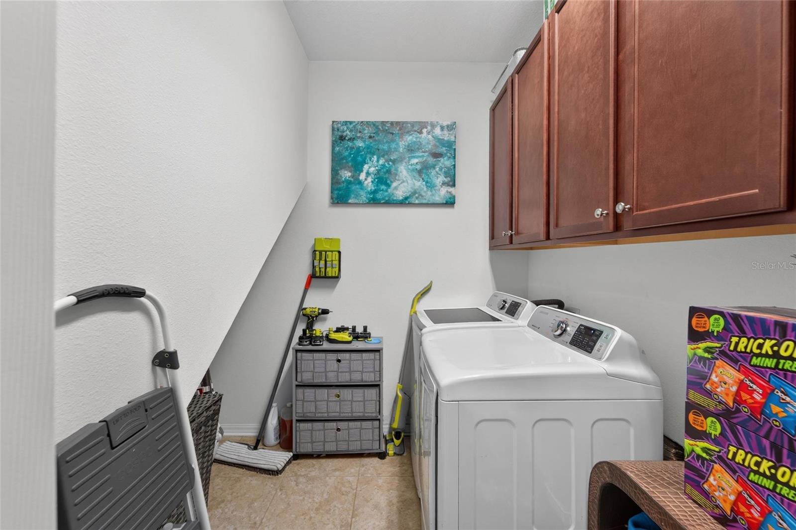 11520 SCARLET IBIS PL