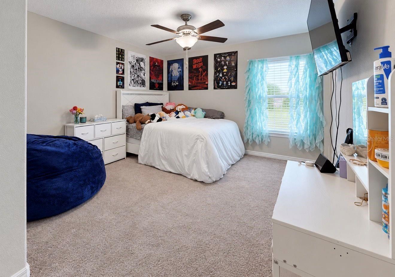 11911 FIELD THISTLE CT