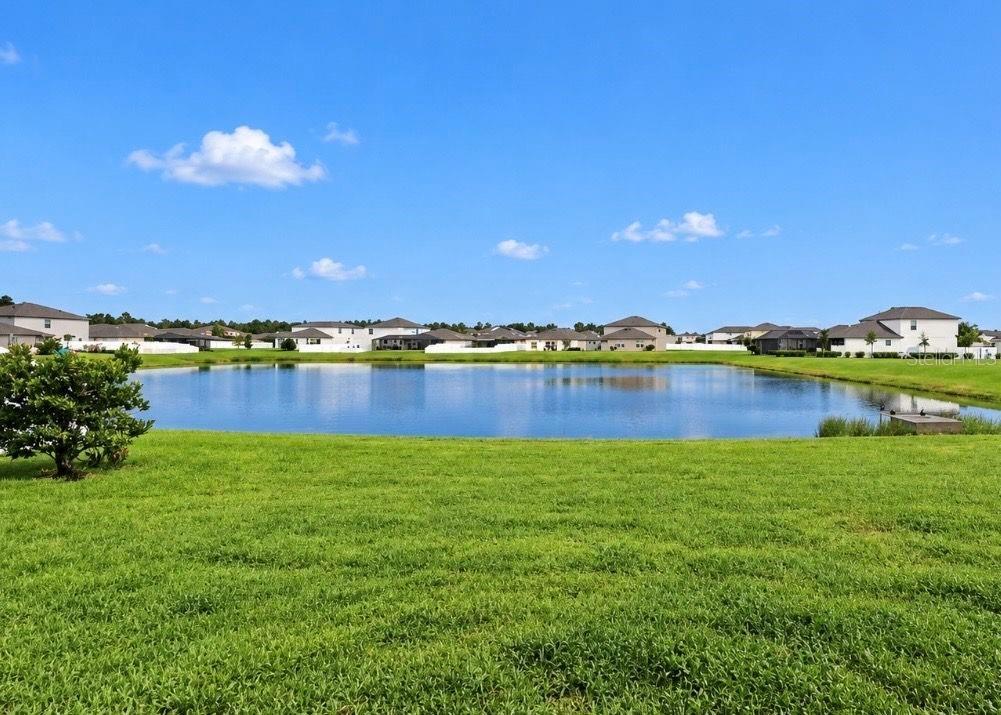 11911 FIELD THISTLE CT