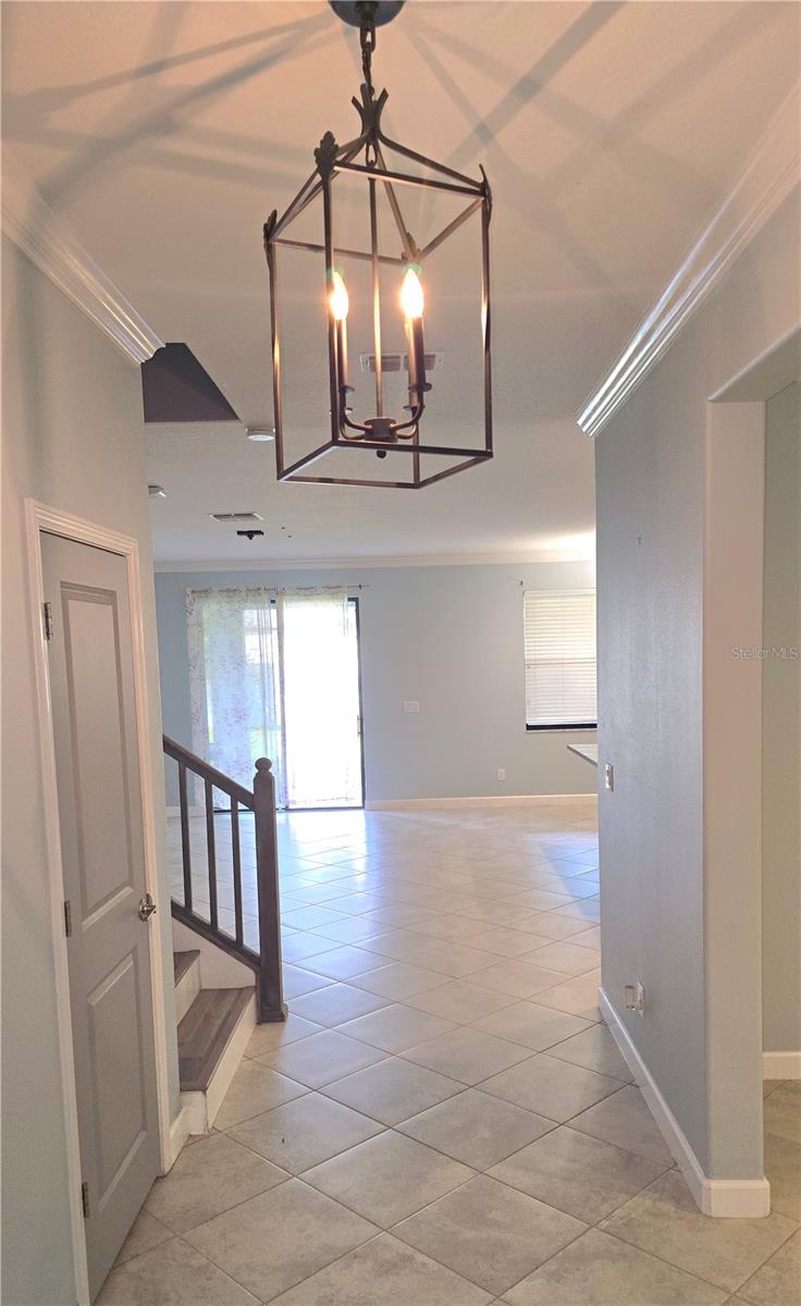 13917 ROSEATE TERN LN