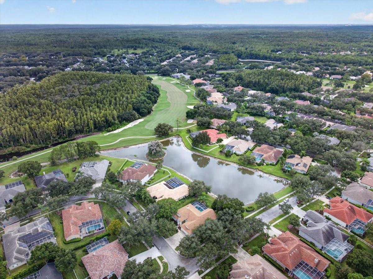 9101 WOODRIDGE RUN DR